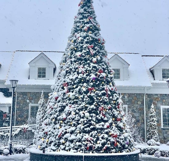 CT Blend Roughly Squares & Rectangles Exterior with Christmas Decor