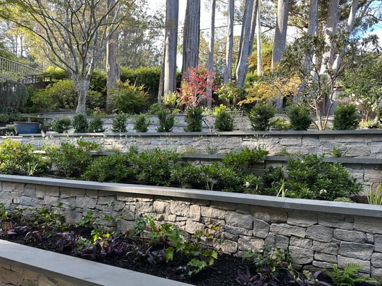 Liberty Hill Ashlar Stone Walls